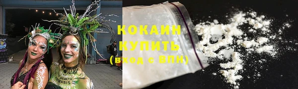 хмурый Михайловск