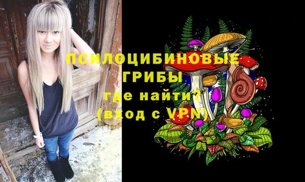 хмурый Михайловск