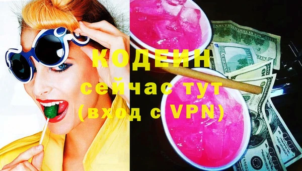 хмурый Михайловск