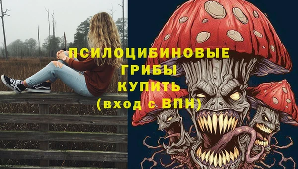 хмурый Михайловск